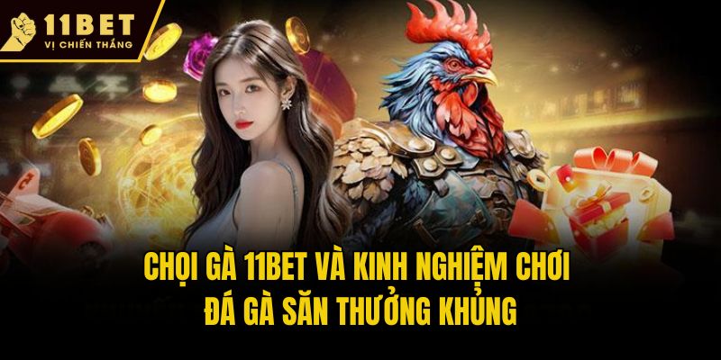 Kinh Nghiệm Chơi Đá Gà Hiệu Quả Săn Thưởng Khủng Tại 11bet 1 Chọi gà 11bet và kinh nghiệm chơi đá gà săn thưởng khủng